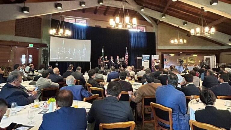 Pakistani-American Investors Commit $20 Million to Boost Pakistan’s IT Sector